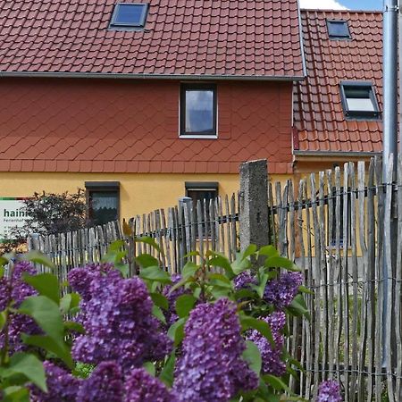 Hainich-Zeit Rodeberg Экстерьер фото