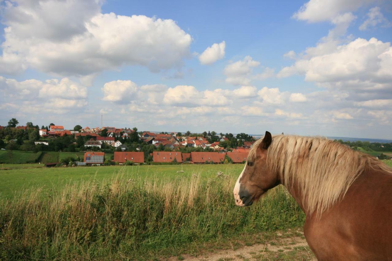 Hainich-Zeit Rodeberg Экстерьер фото
